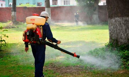 Fumigaciones reducen en 63% los casos de dengue en Tamaulipas