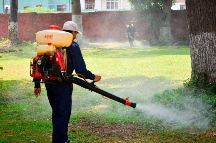 Fumigaciones reducen en 63% los casos de dengue en Tamaulipas