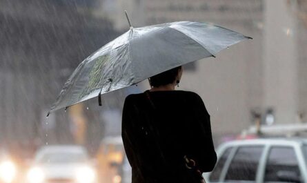 Llega frente frío 7 a Tamaulipas con lluvias y bajas temperaturas