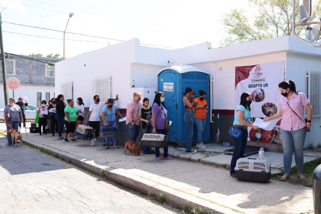 Realizará Gobierno de Nuevo Laredo onceava campaña de esterilización felina y canina