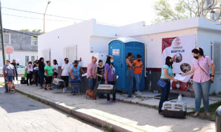 Realizará Gobierno de Nuevo Laredo onceava campaña de esterilización felina y canina