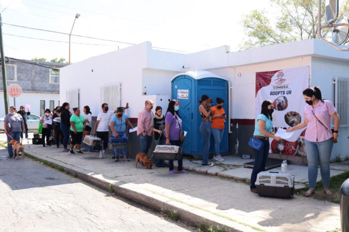 Realizará Gobierno de Nuevo Laredo onceava campaña de esterilización felina y canina