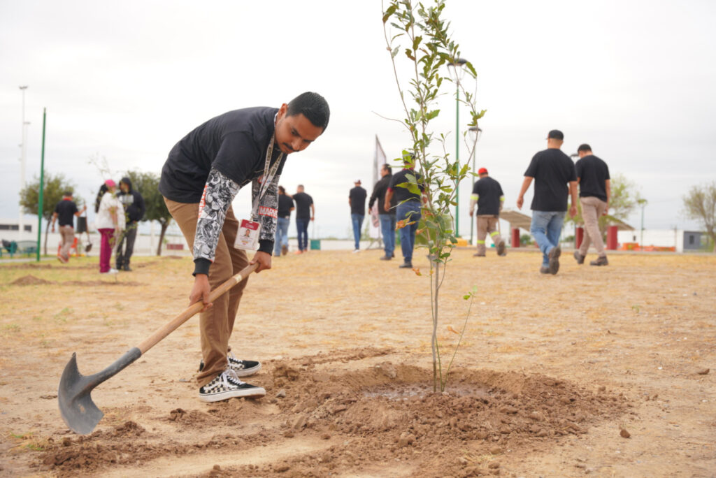 Plantarán más de 3 mil árboles en Nuevo Laredo; Inicia Gobierno Municipal jornada de reforestación masiva