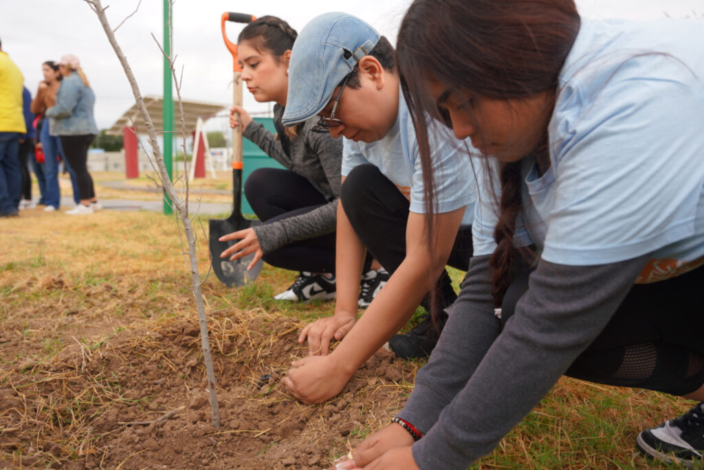 Plantarán más de 3 mil árboles en Nuevo Laredo; Inicia Gobierno Municipal jornada de reforestación masiva