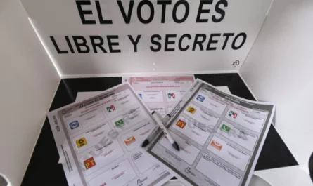 Ietam analiza causas de votos nulos en elecciones de 2024