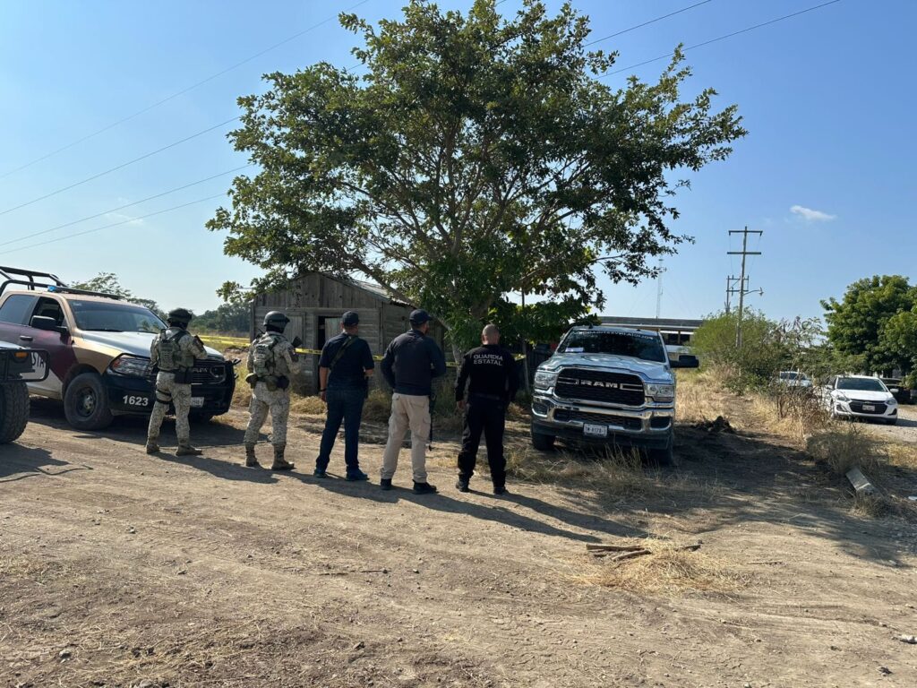 Aseguran drogas y municiones en cateo en El Mante