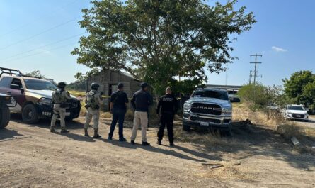 Aseguran drogas y municiones en cateo en El Mante