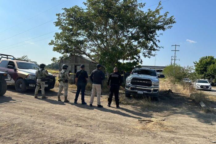 Aseguran drogas y municiones en cateo en El Mante