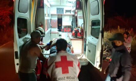 Choca con vaca y termina en estado crítico en carretera de Victoria