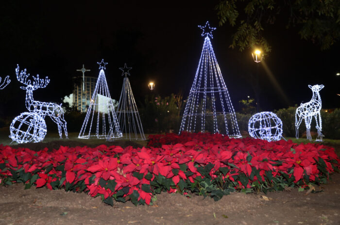 Gobierno de Nuevo Laredo instala adornos navideños en espacios públicos