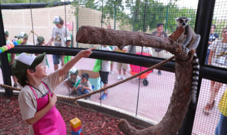 Municipio invita a conocer el Zoológico de Nuevo Laredo