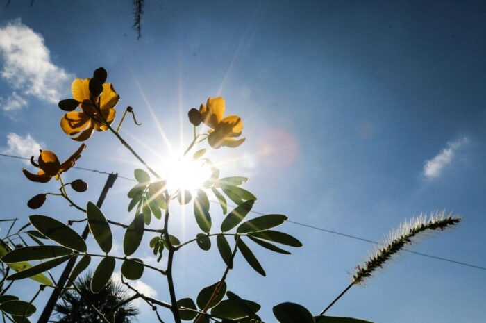 Clima estable y temperaturas cálidas marcan el inicio de semana en Tamaulipas