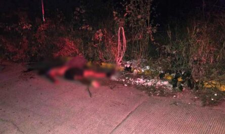 Muere atropellado en Altamira; responsable se dio a la fuga