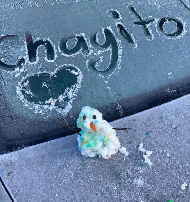 Reynosa amanece con temperaturas bajo cero y capas de hielo