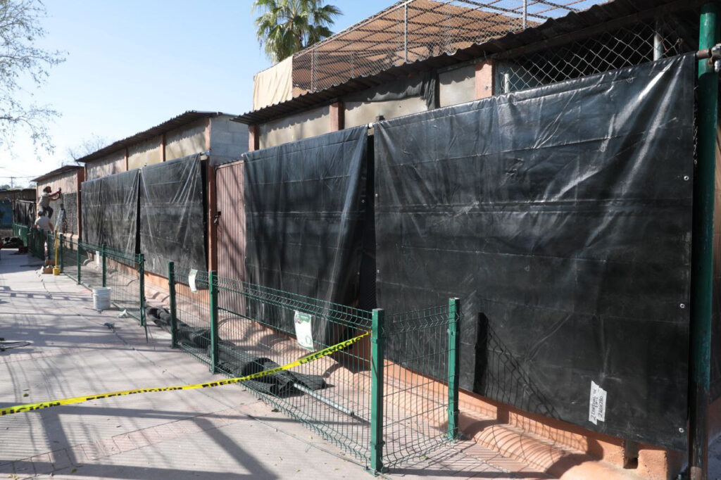 Resguardan en áreas especiales a especies por frío en el Zoológico de Nuevo Laredo