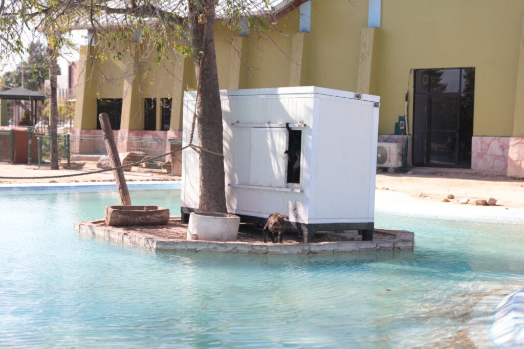 Resguardan en áreas especiales a especies por frío en el Zoológico de Nuevo Laredo
