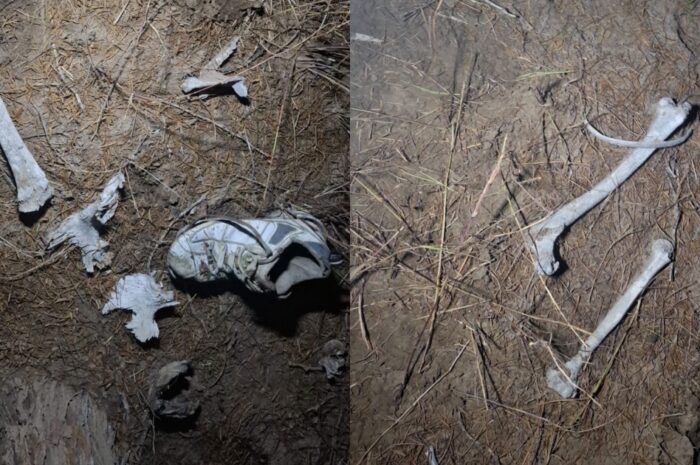 Colectivo de búsqueda encuentra restos humanos en el Viaducto Reynosa