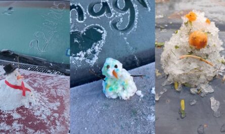 Intensa helada cubre de hielo a Reynosa; temperaturas bajo cero