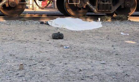 Ejidatario fallece al intentar ganarle el paso al tren en Santa Engracia