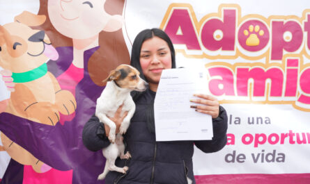Éxito total en la Feria de Adopciones en Nuevo Laredo: mascotas rescatadas de la calle encuentran un hogar