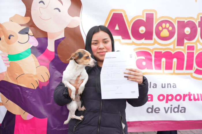 Éxito total en la Feria de Adopciones en Nuevo Laredo: mascotas rescatadas de la calle encuentran un hogar