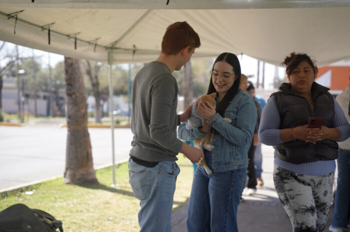 Exitosa Feria de Adopciones en Nuevo Laredo: 31 mascotas encuentran un hogar