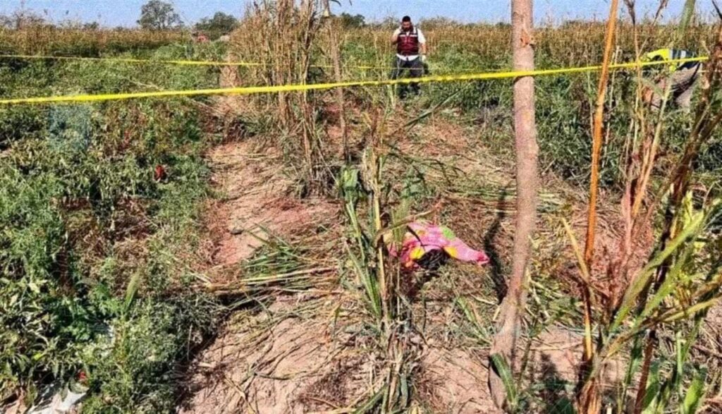 Bebé pierde la vida en González al ser atropellada por un tractor