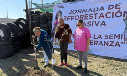 Intensifica Gobierno de Nuevo Laredo campaña de reforestación