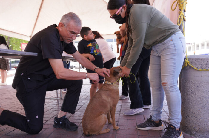 Responden ciudadanos a jornada de vacunación canina del gobierno de Nuevo Laredo