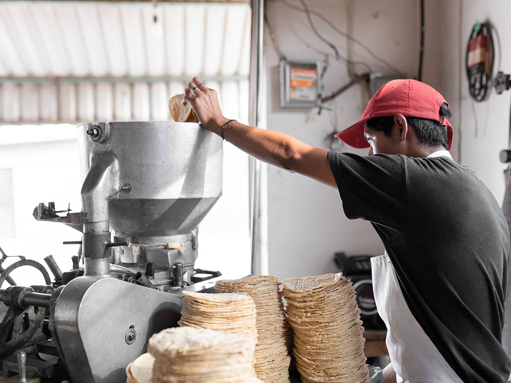 Precio de la tortilla en Victoria se mantendría sin cambios durante 2025