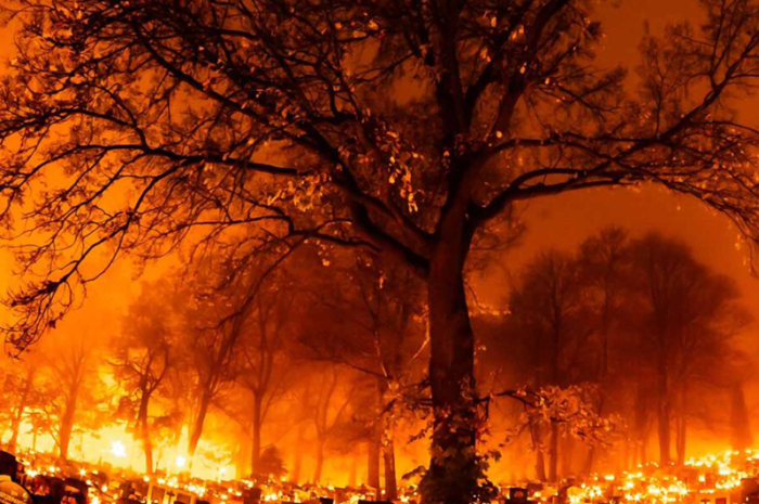Incendios forestales consumen más de 4,500 hectáreas en Tamaulipas