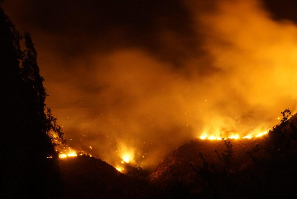 Incendios en Tamaulipas superan mil hectáreas dañadas
