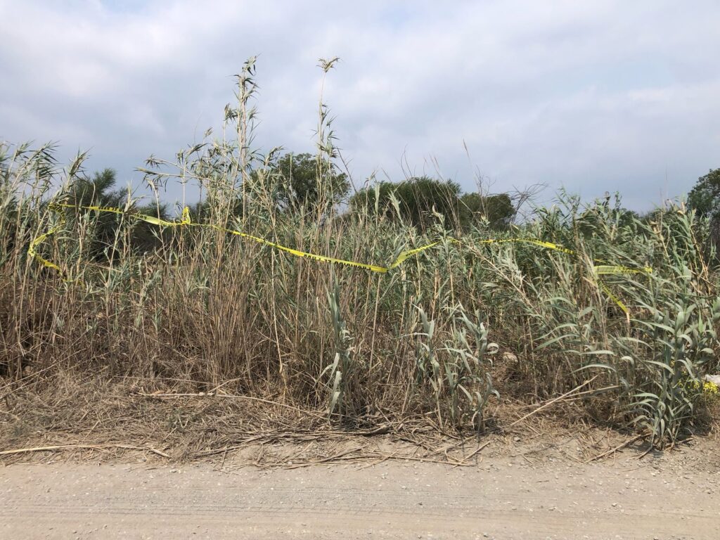 Localizan cuerpo en estado de descomposición en ejido de Ciudad Victoria