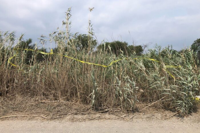 Localizan cuerpo en estado de descomposición en ejido de Ciudad Victoria