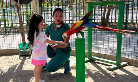 Ampliarán horarios de Zoológico de Nuevo Laredo por Semana Santa