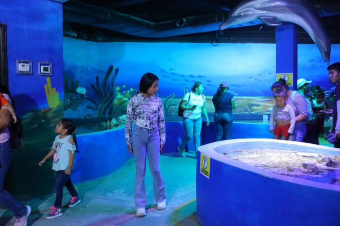 Zoológico, acuario y alberca gratis este sábado en el Festival del Día del Niño en Parque Viveros en Nuevo Laredo