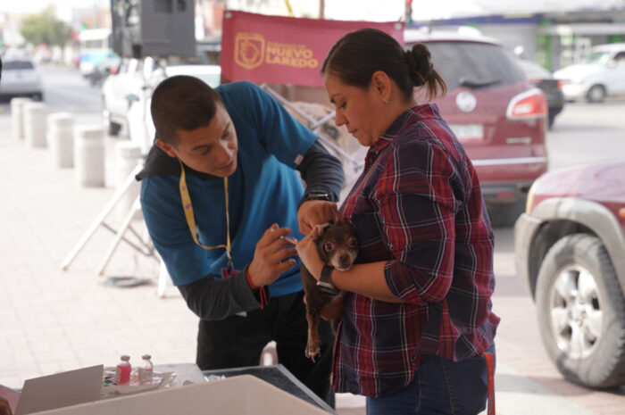 Invita Bienestar Animal a jornada gratuita de vacunación para perros y gatos en Nuevo Laredo