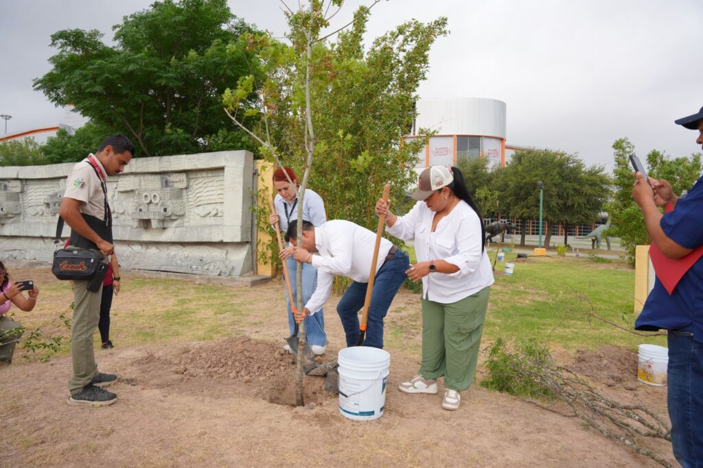 Reforestan espacios públicos y escuelas en Nuevo Laredo
