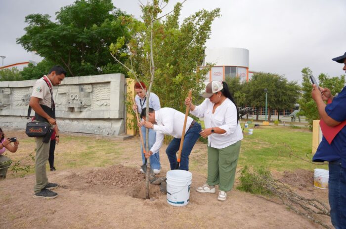 Impulsa Gobierno de Nuevo Laredo campaña de reforestación en espacios públicos y educativos