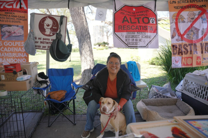 Nuevo Laredo invita a dar un hogar a un amigo peludo en la feria de adopción canina y felina