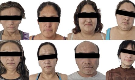 Ocho detenidos y siete inmuebles asegurados en Ciudad Victoria