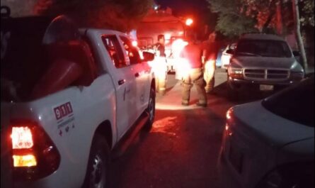 Rescatan a familia y sus mascotas de incendio en vivienda de Ciudad Victoria