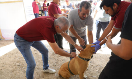 Continúa Gobierno de Nuevo Laredo impulsando el bienestar animal con jornadas de esterilización y múltiples servicios