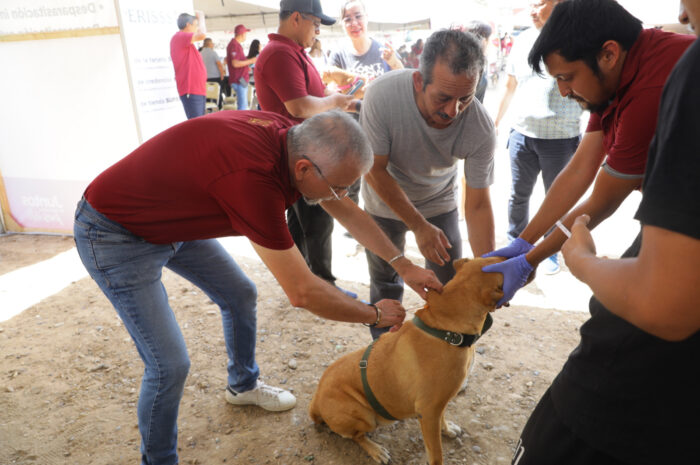 Continúa Gobierno de Nuevo Laredo impulsando el bienestar animal con jornadas de esterilización y múltiples servicios
