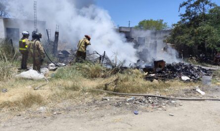 Incendio arrasa vivienda en Ciudad Victoria; mueren tres perros