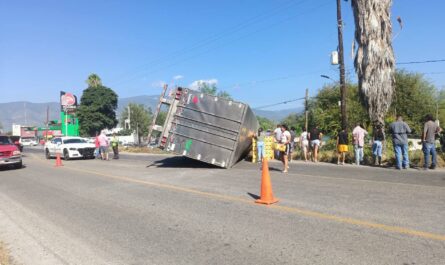 Vuelca tráiler con aguacates en Jaumave y desata rapiña