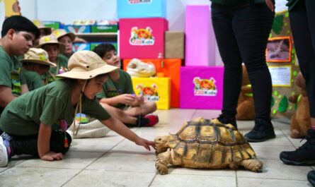 Inicia el programa educativo ZooKids en el Zoológico de Nuevo Laredo