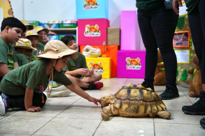 Inicia el programa educativo ZooKids en el Zoológico de Nuevo Laredo