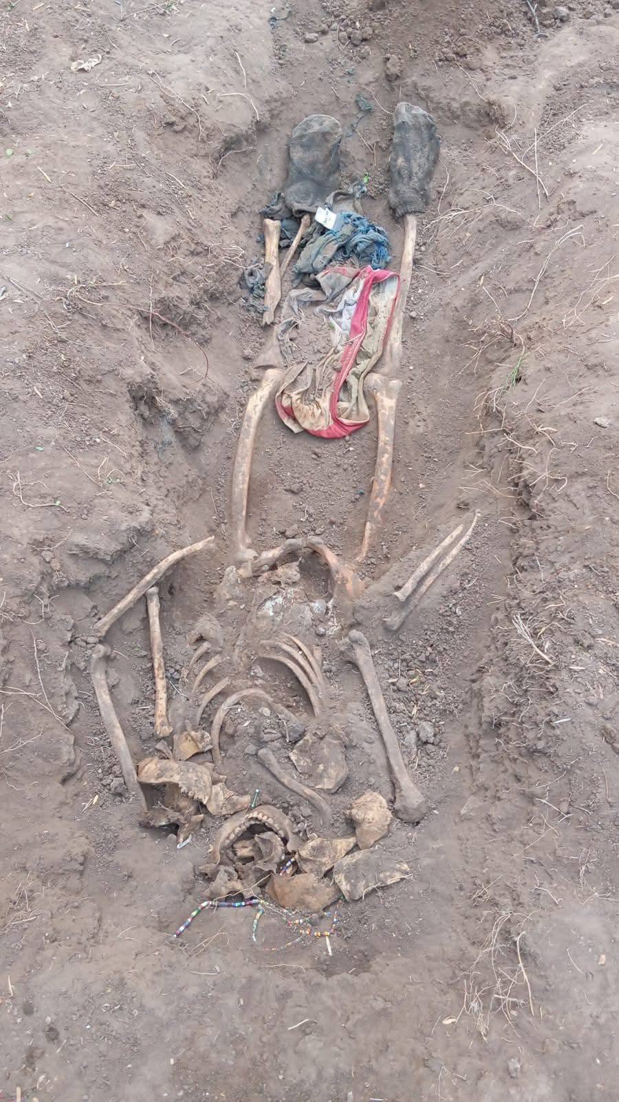 Hallan restos humanos en predio del ejido Los Longoria en Reynosa Hallan restos humanos en predio del ejido Los Longoria en Reynosa