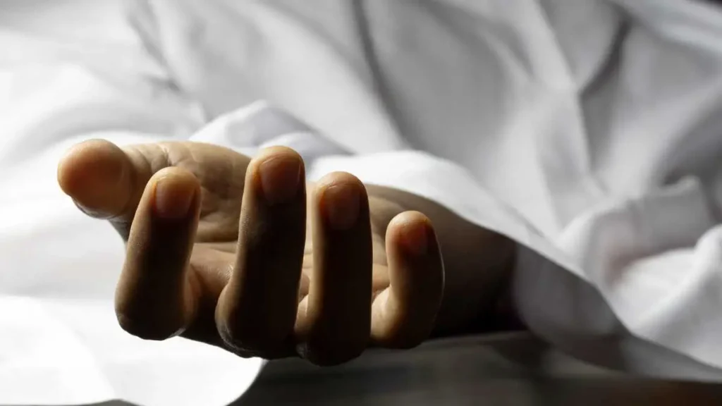 Hombre muere atropellado en la carretera Mante–Victoria Hombre muere atropellado en la carretera Mante-Victoria